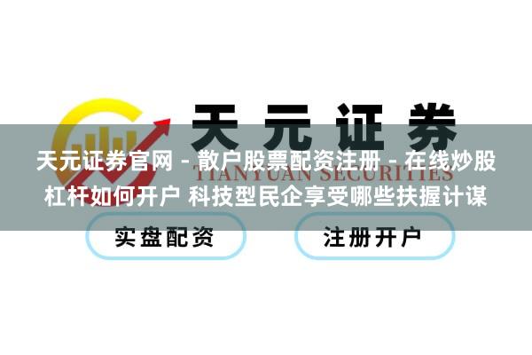 天元证券官网 - 散户股票配资注册 - 在线炒股杠杆如何开户 科技型民企享受哪些扶握计谋